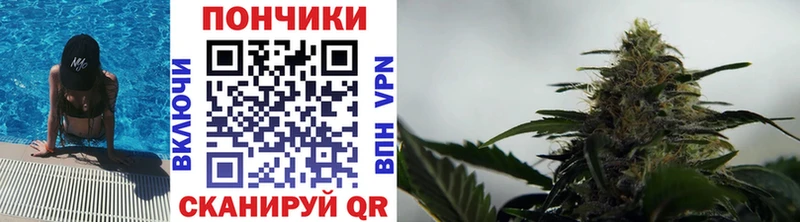 наркошоп  Избербаш  Бошки марихуана индика 